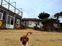 Shinhwa World pet-friendly accommodation 13th image