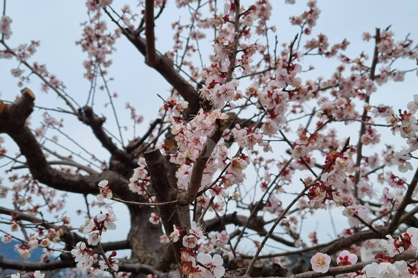 Tongyeong Jinwoo Studio B 11th image