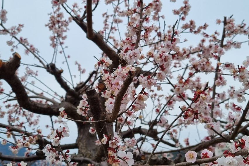 통영진우원룸 A호