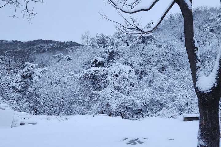 중암힐링103동 13번째 이미지