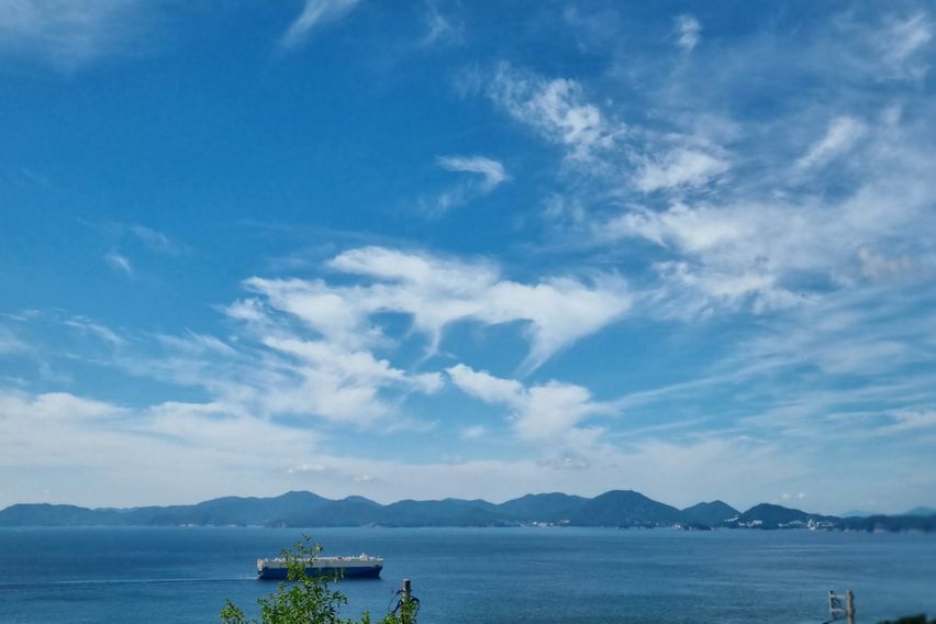 반려견과 함께 노을여행 4번째 이미지