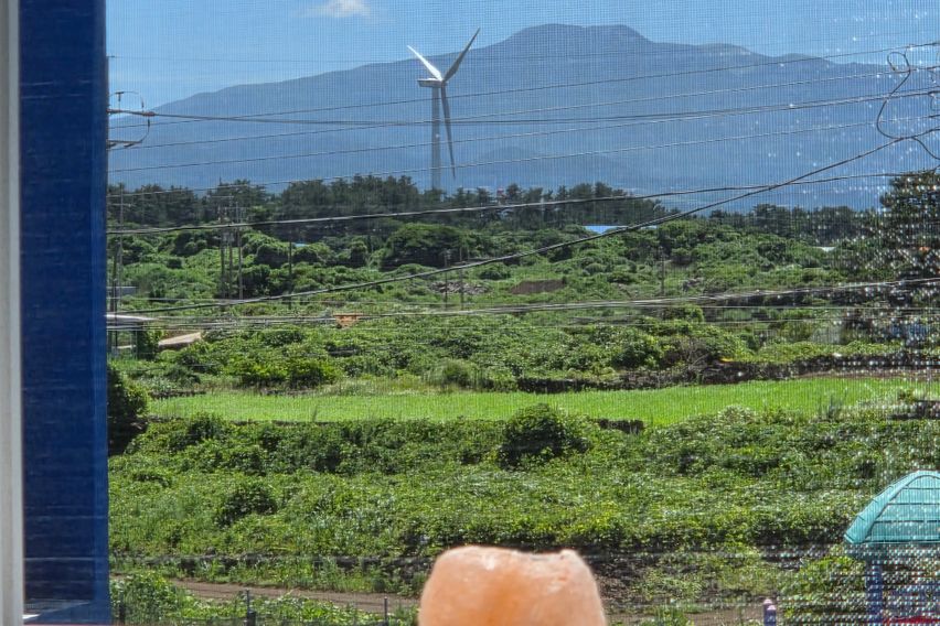 제주동쪽<동복쉼표> 2번째 이미지