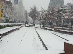 홍대연남동풀옵션 B 13번째 이미지