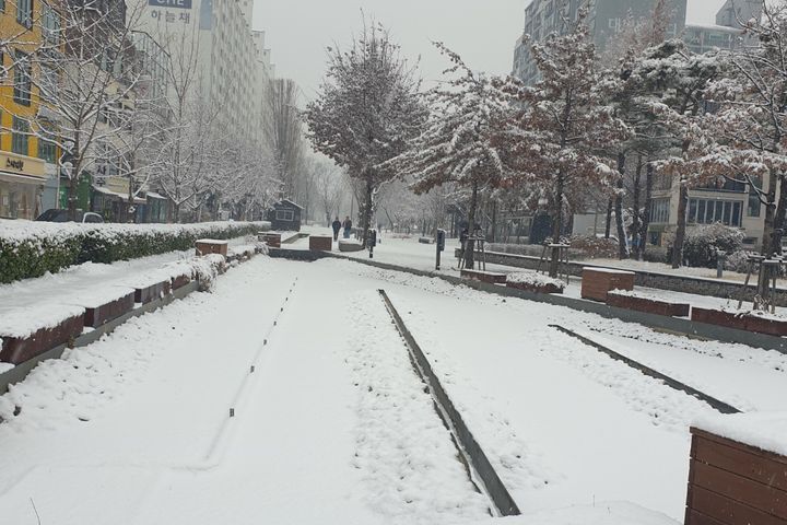 홍대연남동풀옵션 B 13번째 이미지