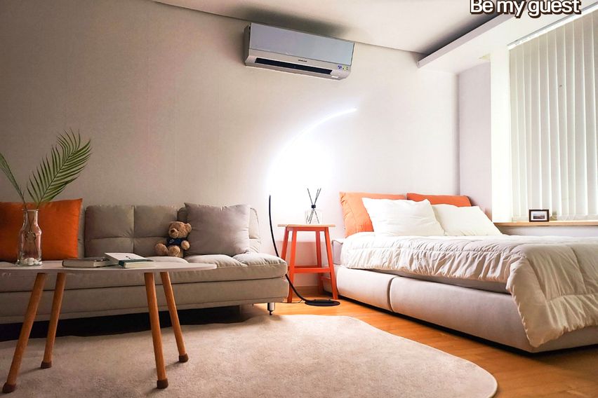 🤎정자/판교(건조기)