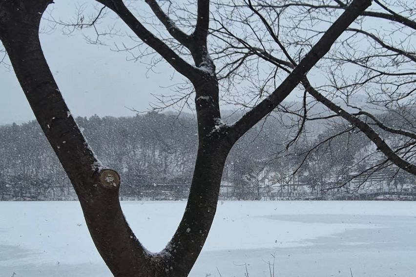 리모델링된 깨끗한 집 13번째 이미지