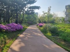 둔산동 힐링하우스 13번째 이미지