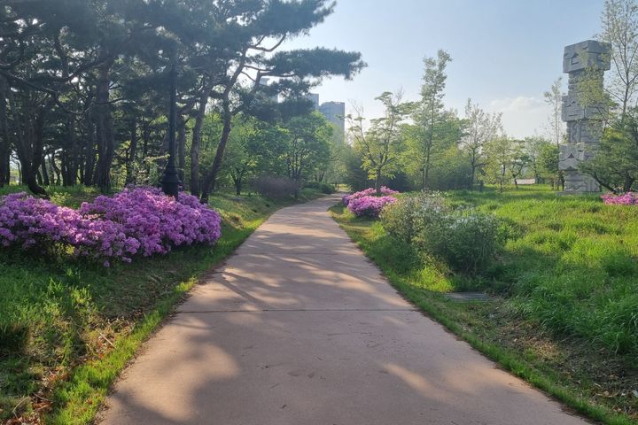 둔산동 힐링하우스 13번째 이미지