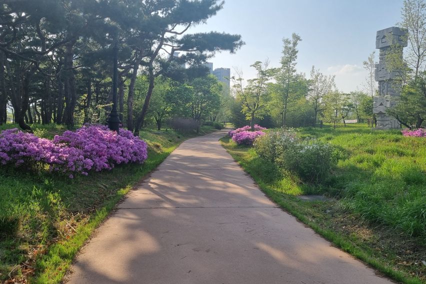 둔산동 힐링하우스 13번째 이미지