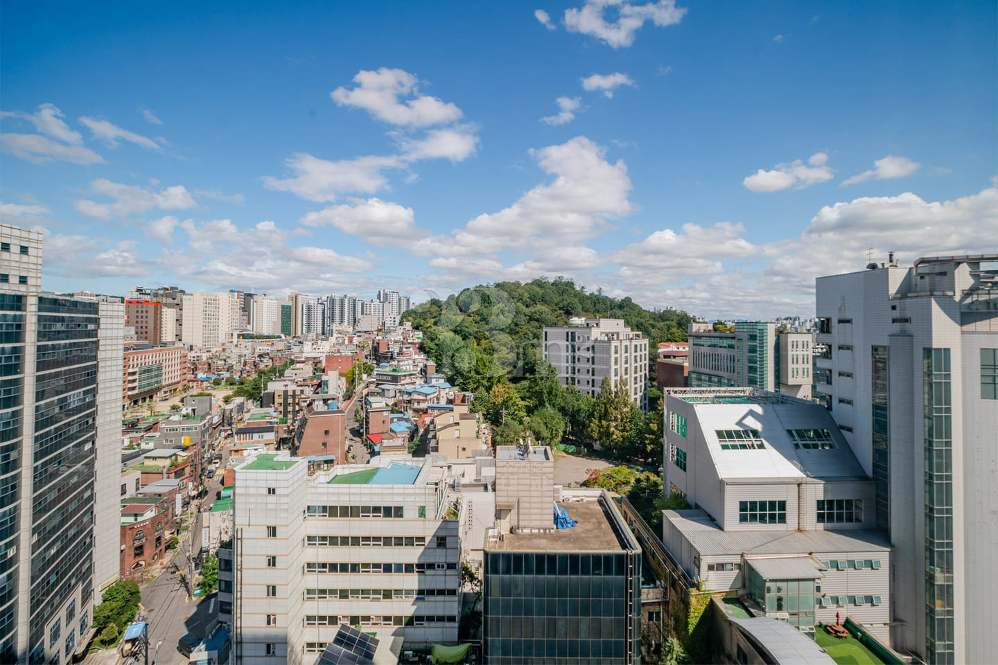 #49 Blue Ground Sinchon 14th image