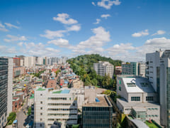 #49 Blue Ground Sinchon 14th image