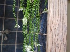 숲세권에서 힐링을 🌿 10번째 이미지