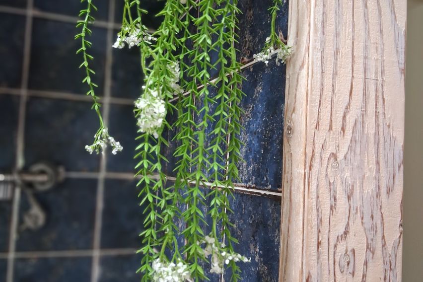 숲세권에서 힐링을 🌿 9번째 이미지