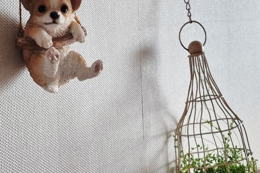 산방산/모슬포항 오션뷰