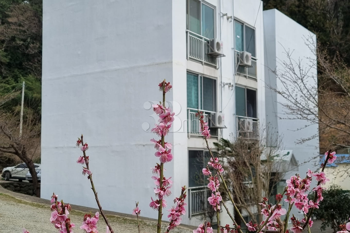 Tongyeong Jinwoo Studio B 2th image