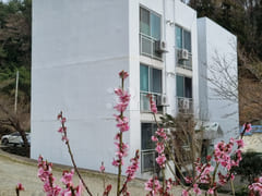 Tongyeong Jinwoo Studio B 2th image