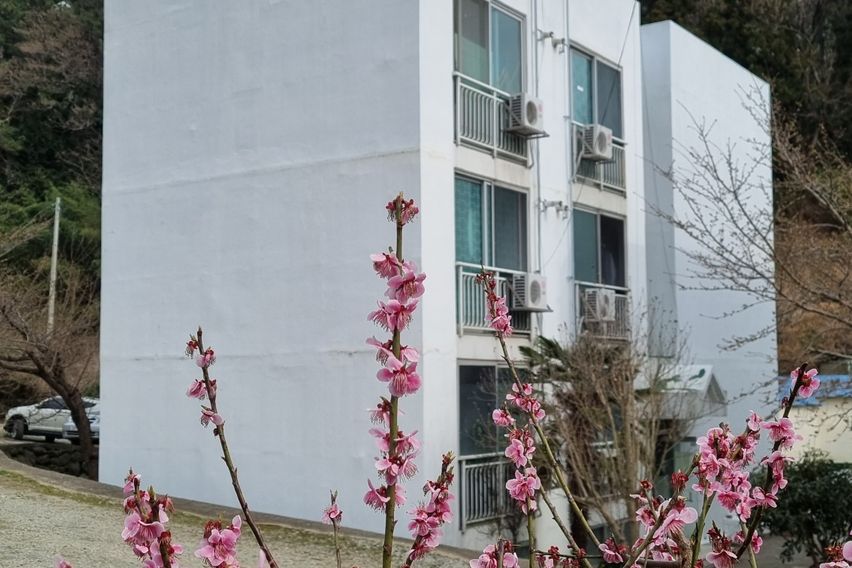 통영진우원룸 A호