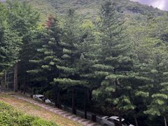 양산대병원부근 오봉산앞 19번째 이미지