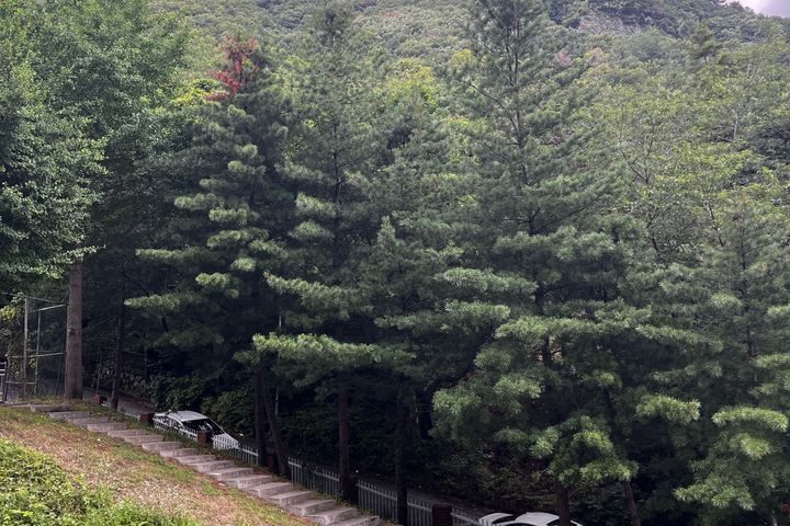 양산대병원부근 오봉산앞 19번째 이미지
