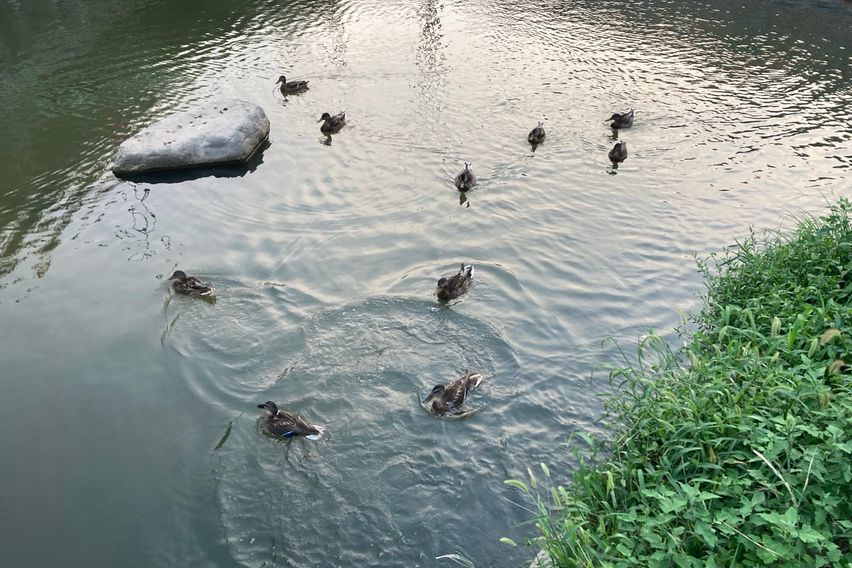 부암스테이 18번째 이미지