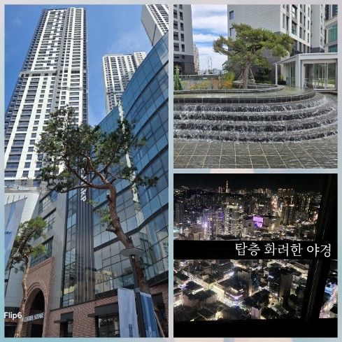 동성로신축탑층 신규특가