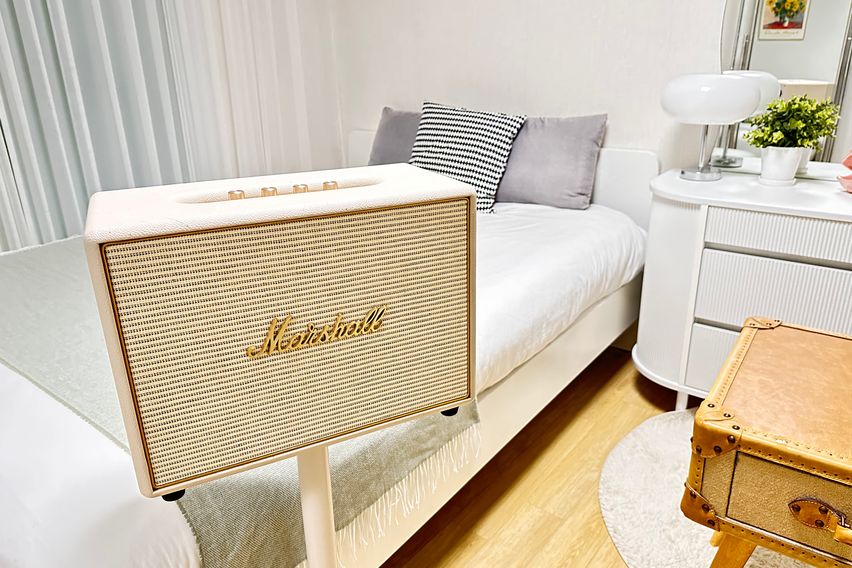 💛🌈선정릉👍1월초특가