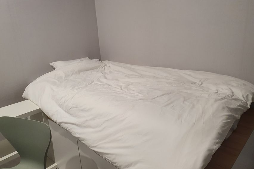 19 프리미엄 숙소