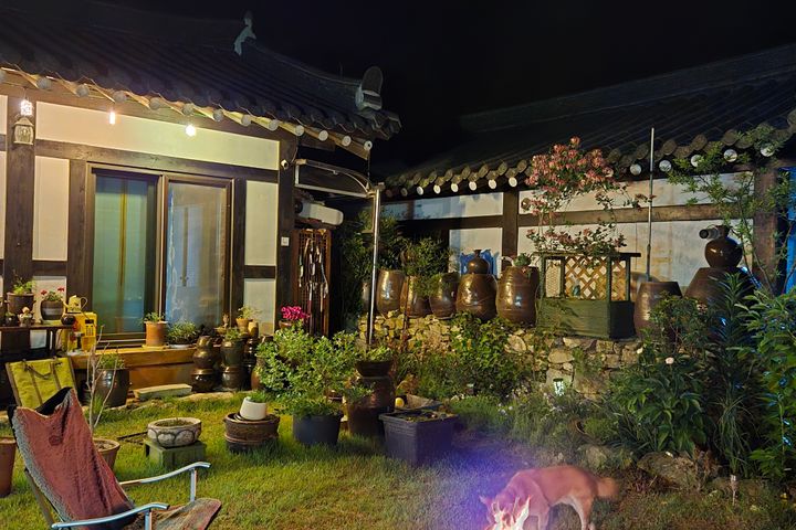 반려견과 한옥스테이🏡 4번째 이미지