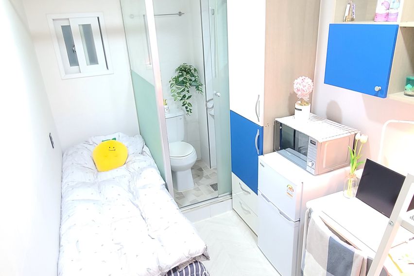 227스테이 -스탠다드