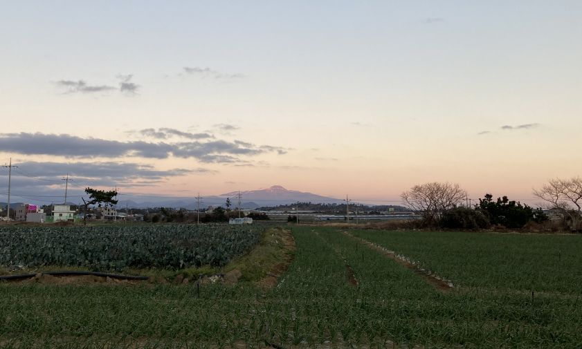 예쁜노을 독채-노을담C