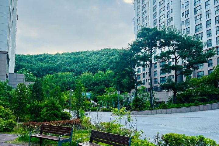 숲속 40평풀옵션 3룸 17번째 이미지