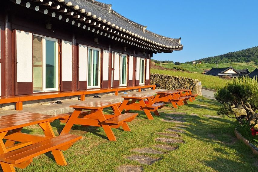 청산도 락 한옥 대나무