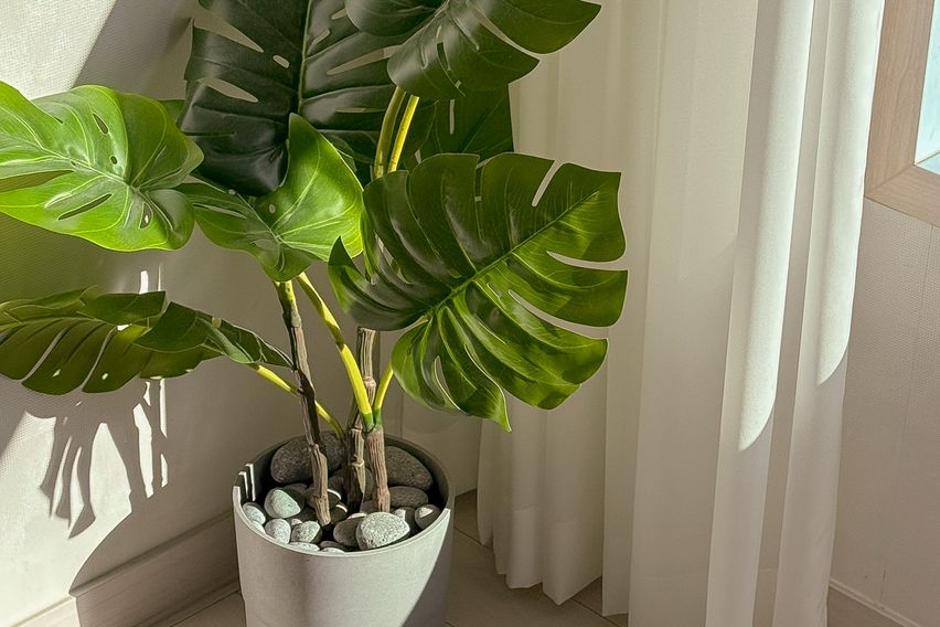 목포 전남도청 2룸고층