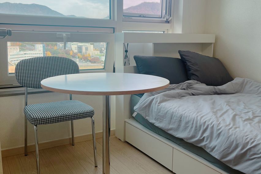 창원 도심1초 심플🍎