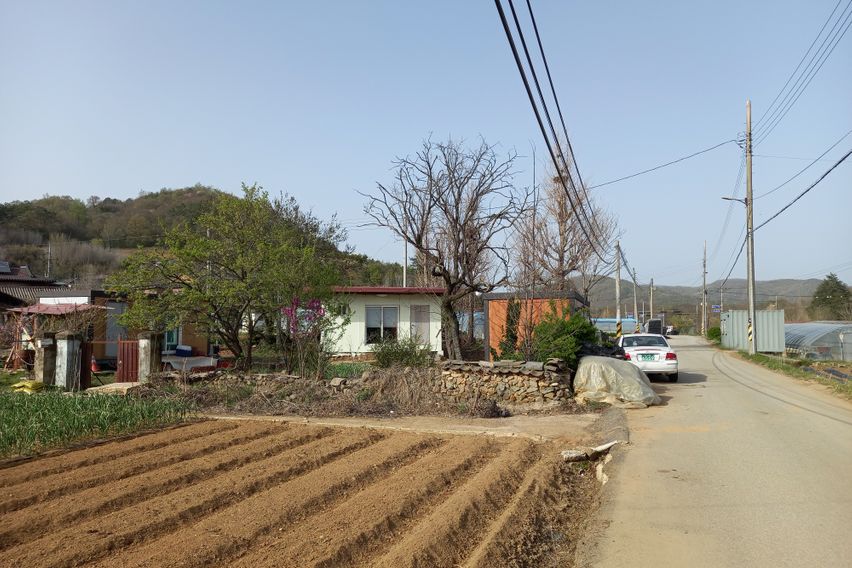 임실 일빵빵 남