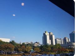 셀레스티지 1번째 이미지