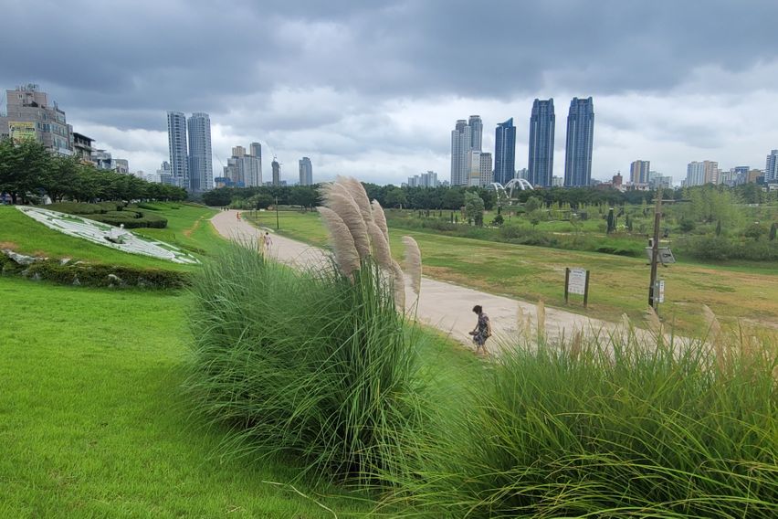 1 국가정원 퀸2싱글1