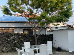 (제주시조천읍)제주돌담 3번째 이미지