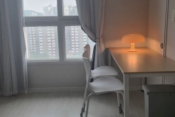 컴팩트