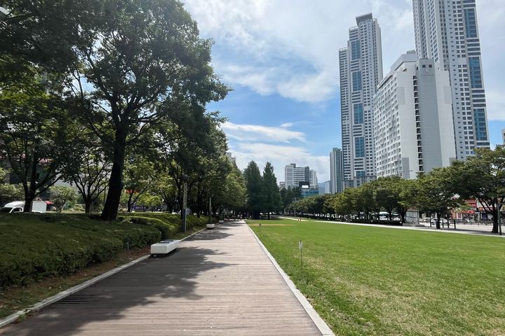 Seomyeon-Bujeon, Fully Furnished, Parking Ava 11th image