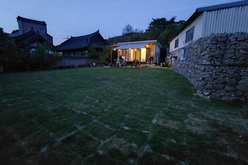 반려동물과 단독으로 1번째 이미지