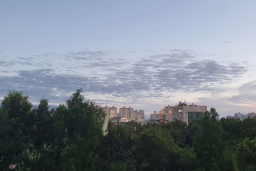 🏠고양화정32평아파트