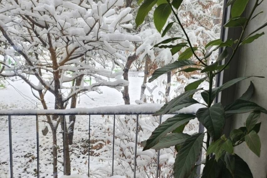 넓고쾌적한 프라이빗 방 12번째 이미지