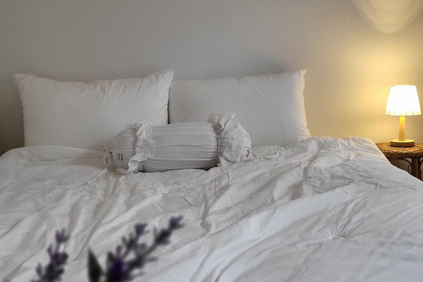 마당있는  감성주택대구 1번째 이미지