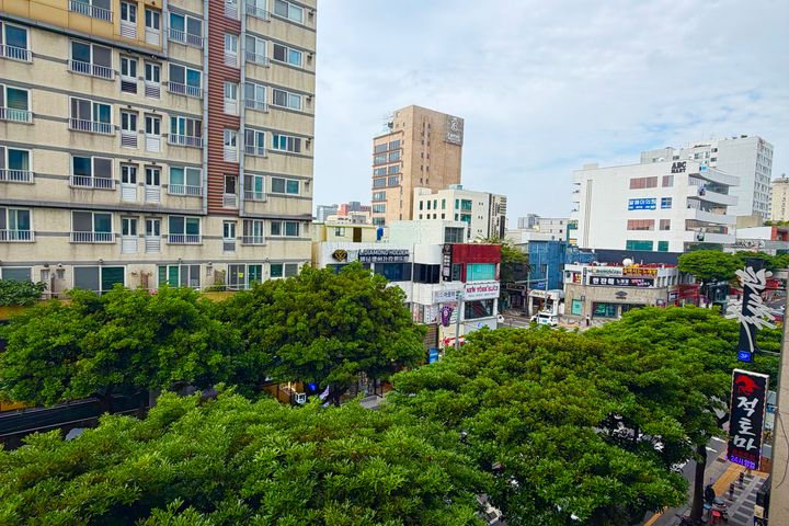 제주연동l출장,한달살기 16번째 이미지