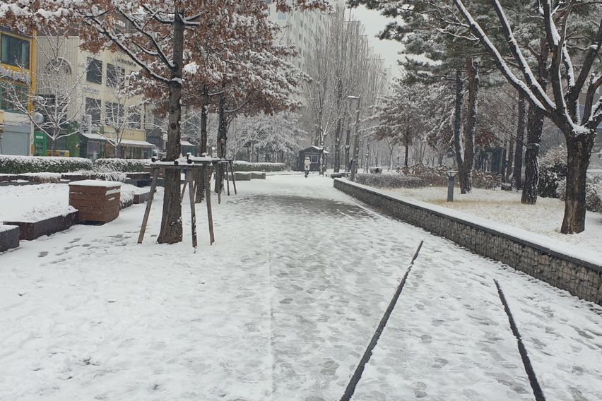 홍대연남동풀옵션 C