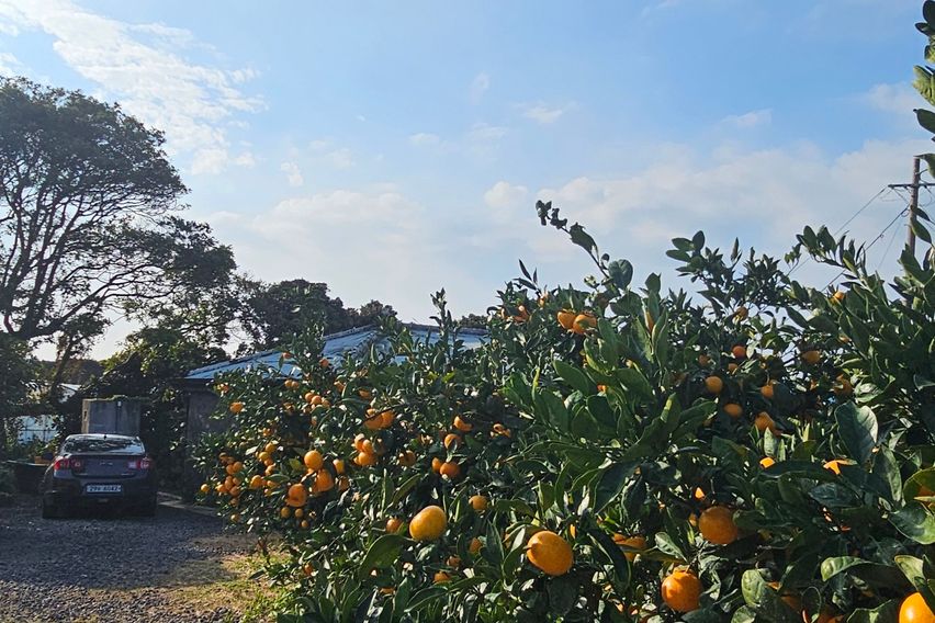 위미리 독채투룸 마당집