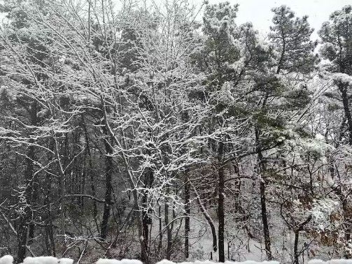 일산동구/신축/투룸 1번째 이미지