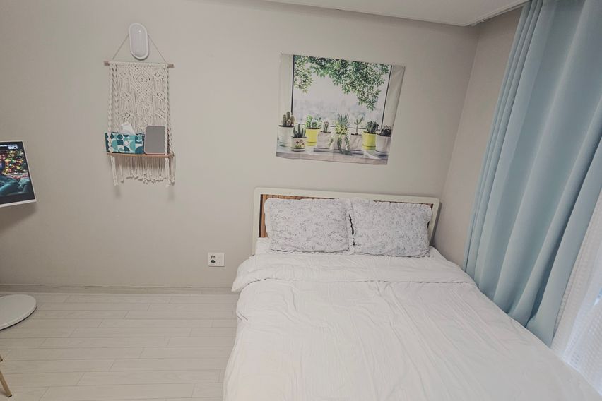 동성로 에코하우스