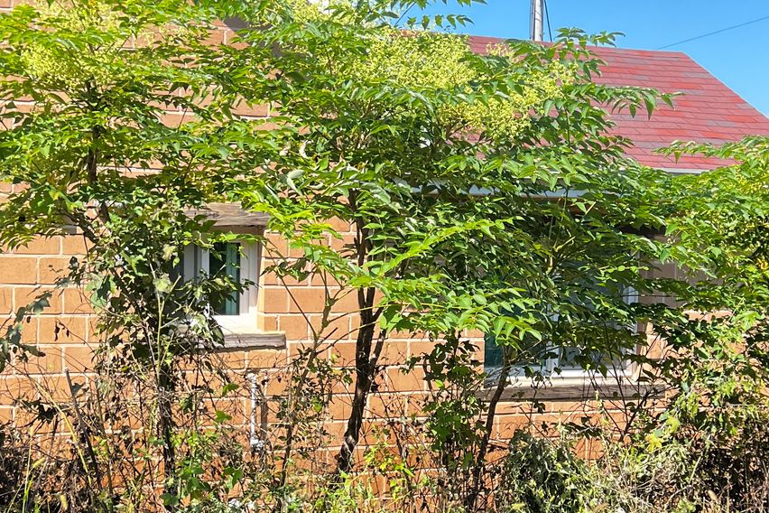 Happy Meadow Ranch Country House 17th image